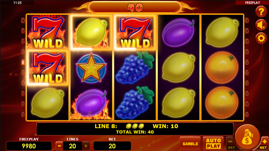 Hot Fruits 20 Slot Game