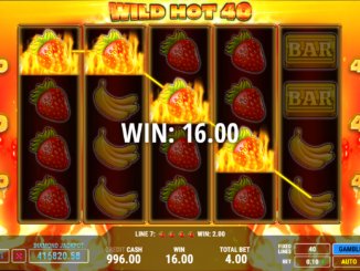 Wild Hot 40 Slot Game